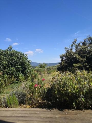 Villa Spacieuse Avec Terrasse Et Vue Mont Ventoux Entrechaux المظهر الخارجي الصورة