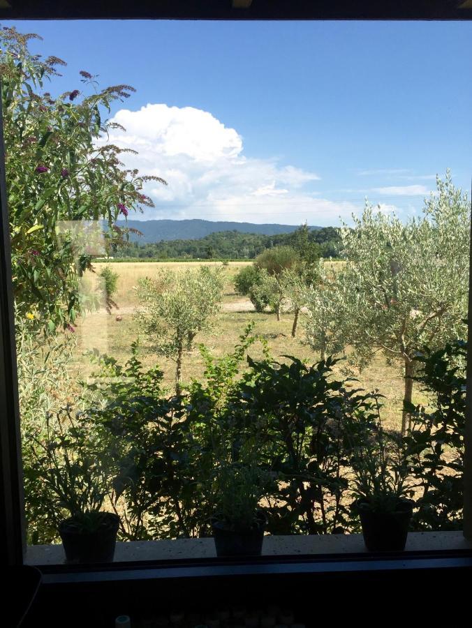 Villa Spacieuse Avec Terrasse Et Vue Mont Ventoux Entrechaux المظهر الخارجي الصورة
